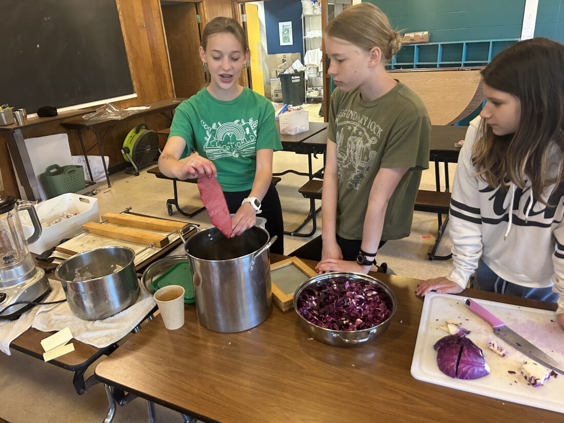 Limestone Community School students to cap off research project on deforestation with ‘pop-up shop’ raising funds for nonprofit